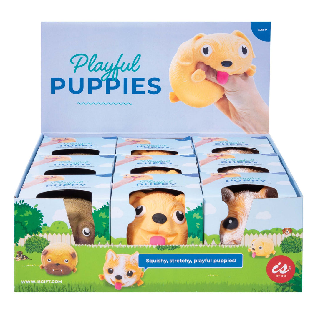 Playful Puppies - Assorted