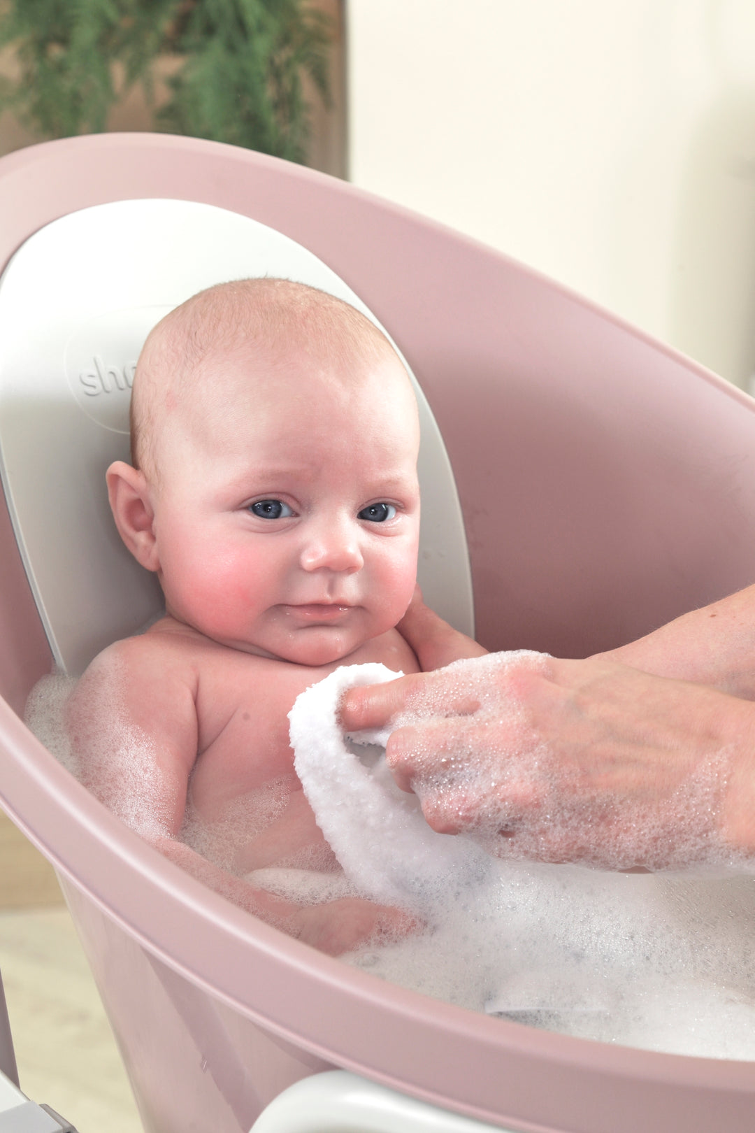 Shnuggle Baby Bath with Plug - Blossom