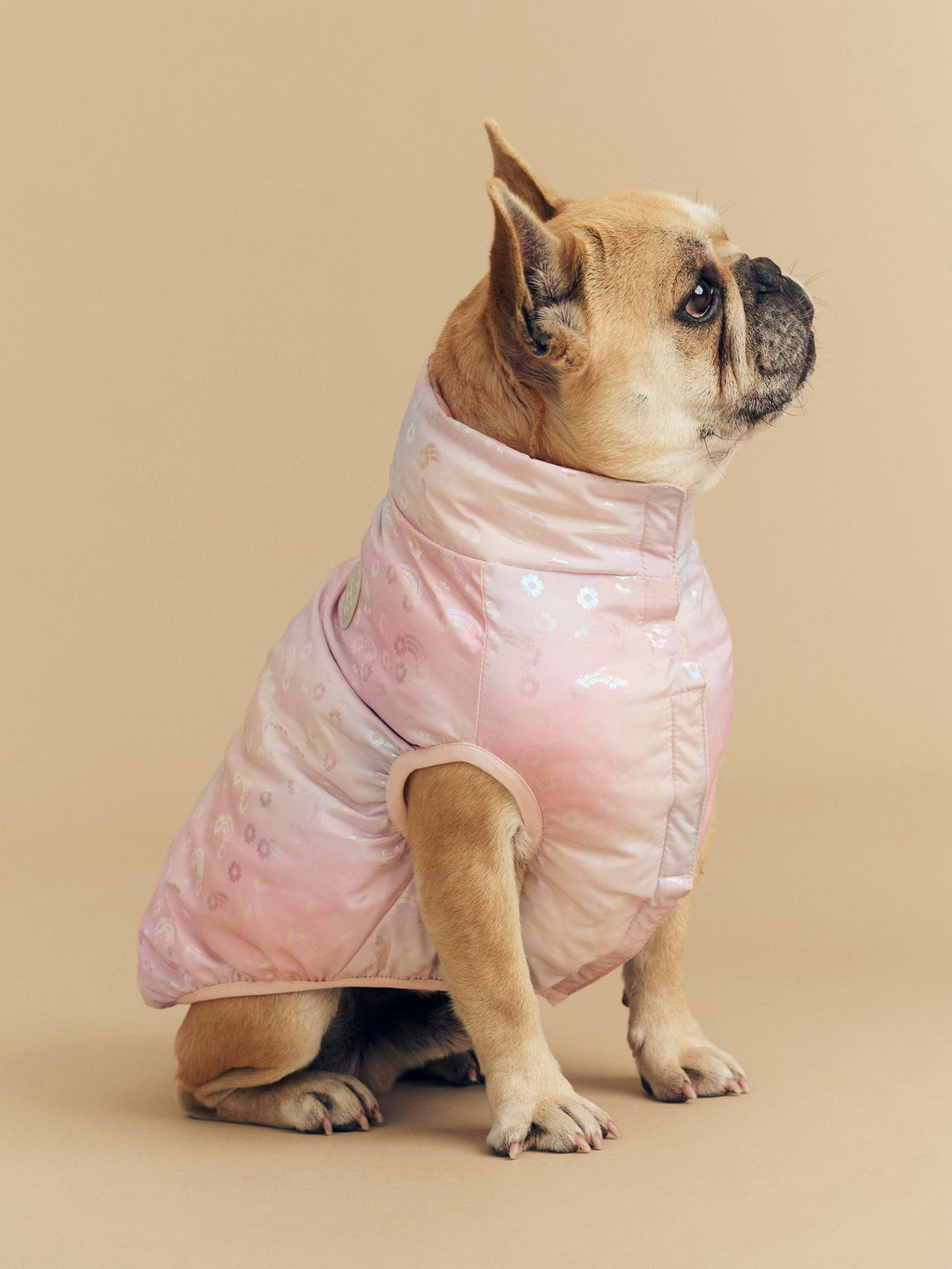 Huxbaby Rainbow Reversible Dog Vest - Rosebud