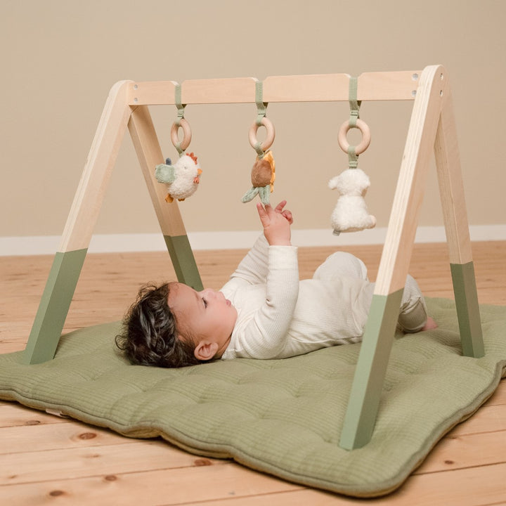 Little Farm Babygym