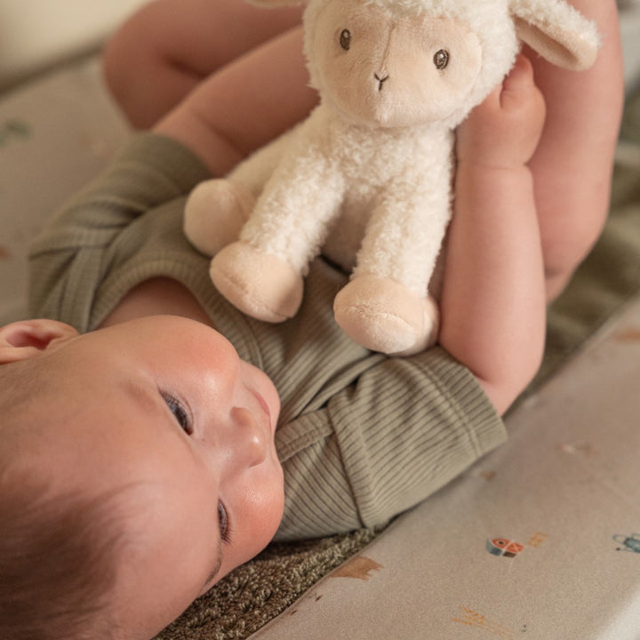 Little Farm Cuddle Sheep