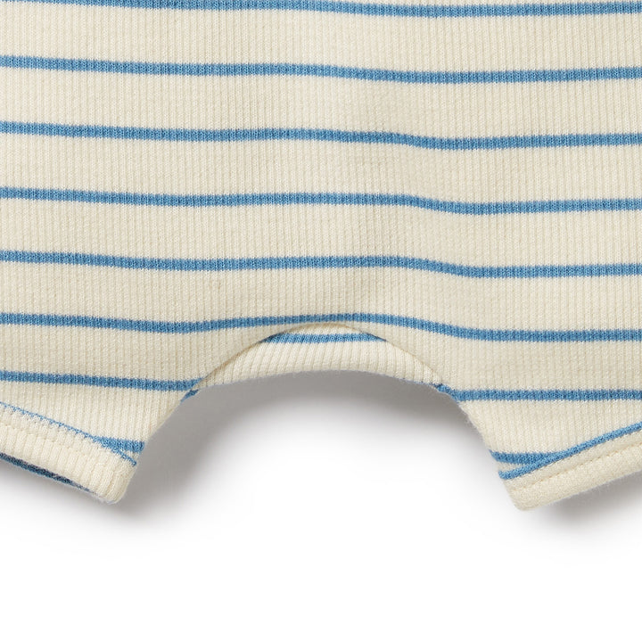 Wilson and Frenchy Petit Blue Organic Short