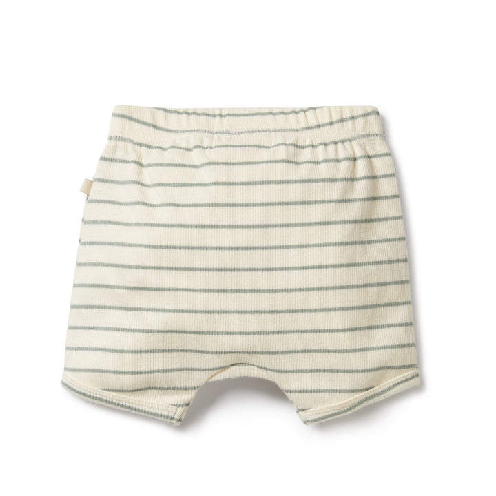 Wilson and Frenchy Petit Sage Organic Short