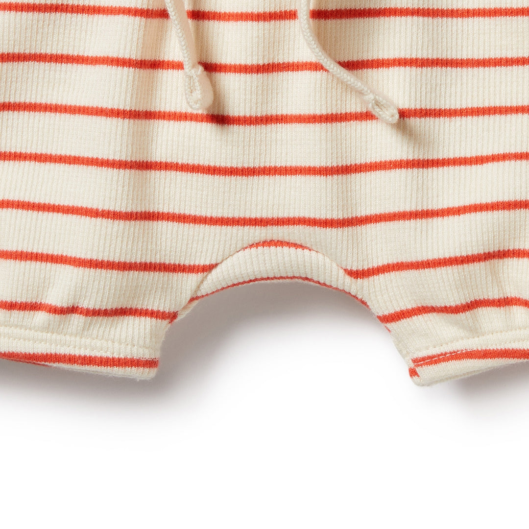 Wilson and Frenchy Petit Rouge Organic Bloomer Short