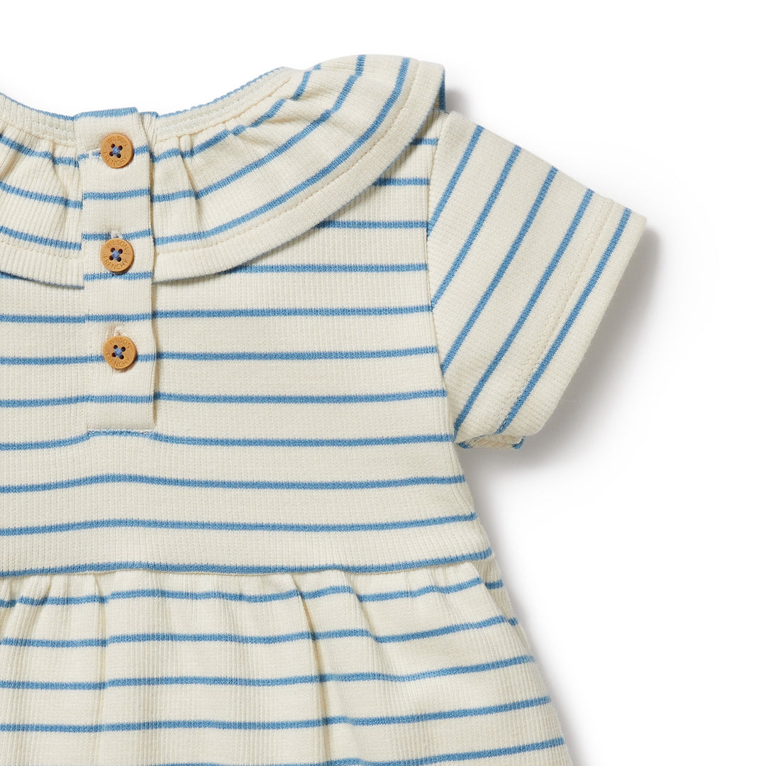 Wilson and Frenchy Petit Blue Organic Ruffle Dress