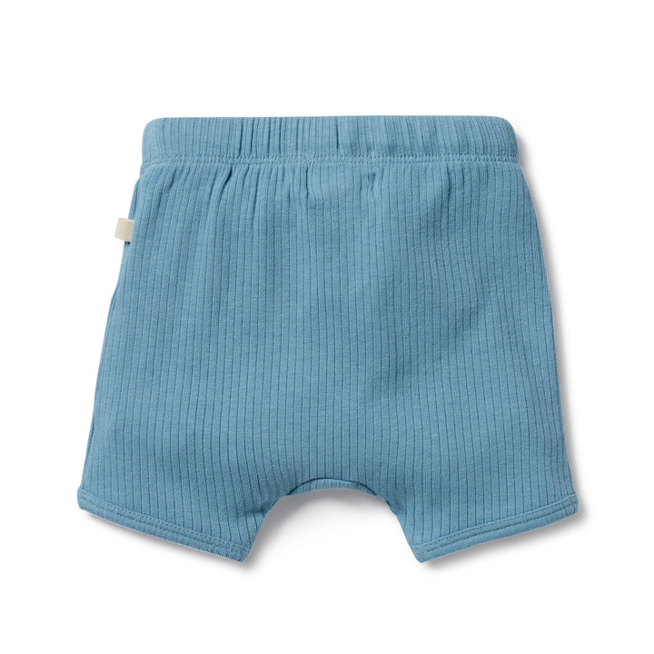 Wilson and Frenchy Sky Blue Organic Rib Short