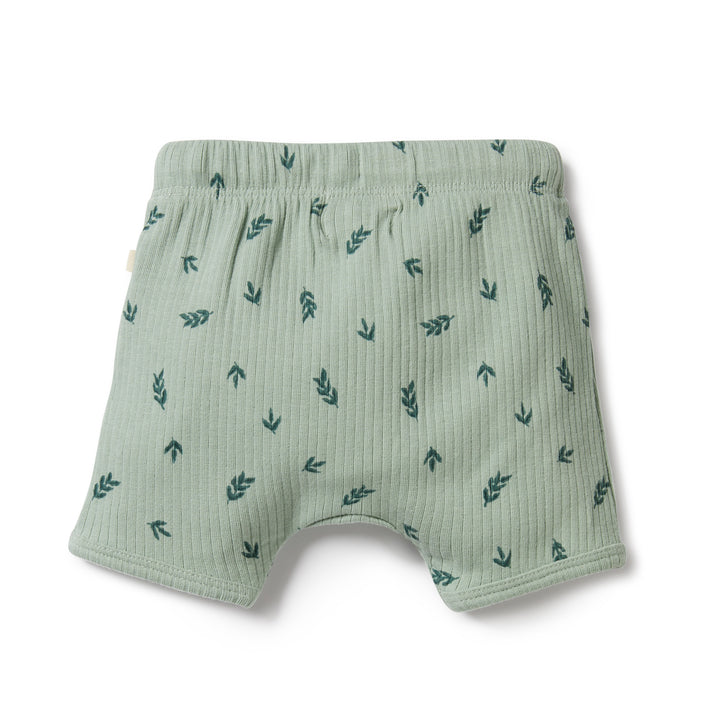 Wilson and Frenchy Falling Leaf Organic Rib Short