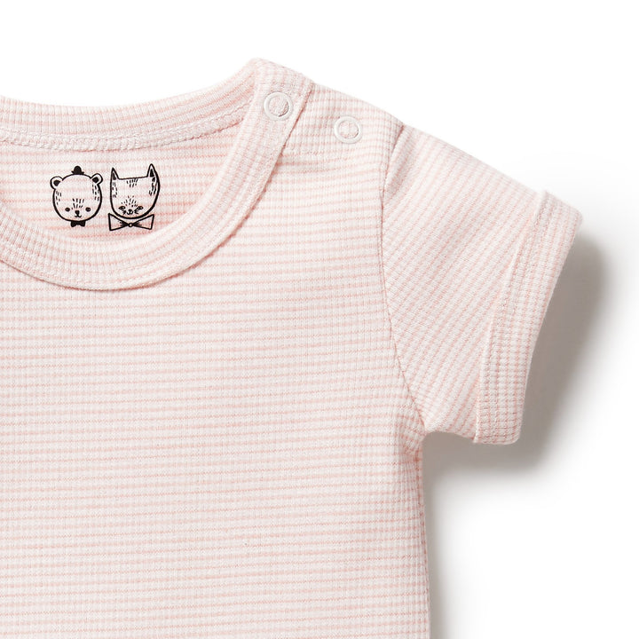 Wilson and Frenchy Organic Stripe Rib Bodysuit - Cantaloupe