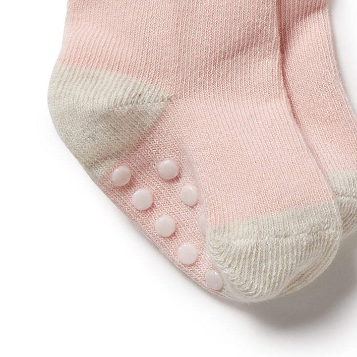 Wilson and Frenchy 3 Pack Baby Socks - Cantaloupe