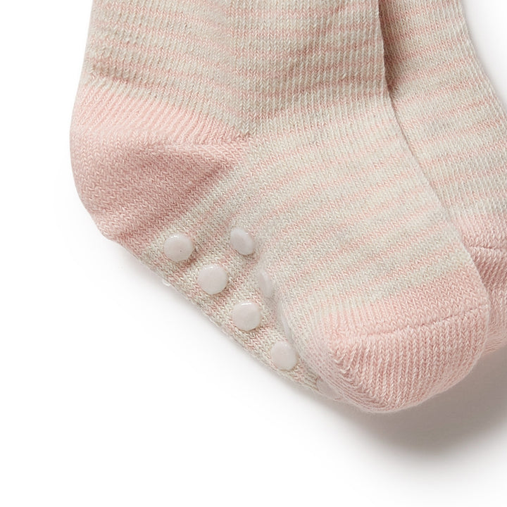 Wilson and Frenchy 3 Pack Baby Socks - Cantaloupe