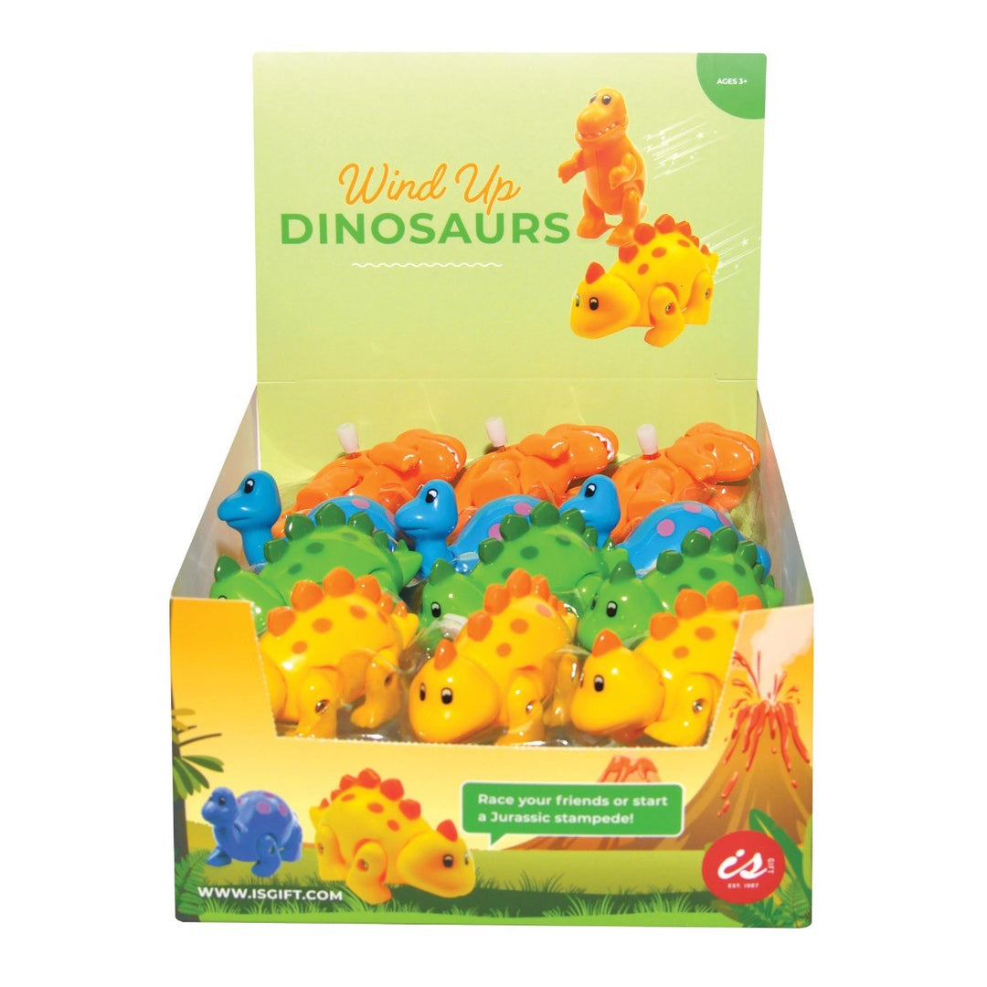 Wind Up Dinosaurs - Assorted