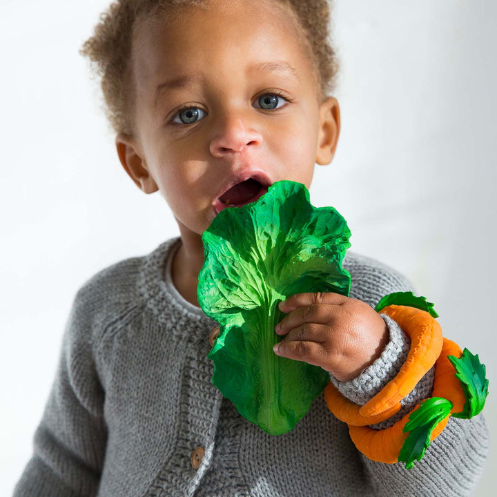 Kendall The Kale Teether