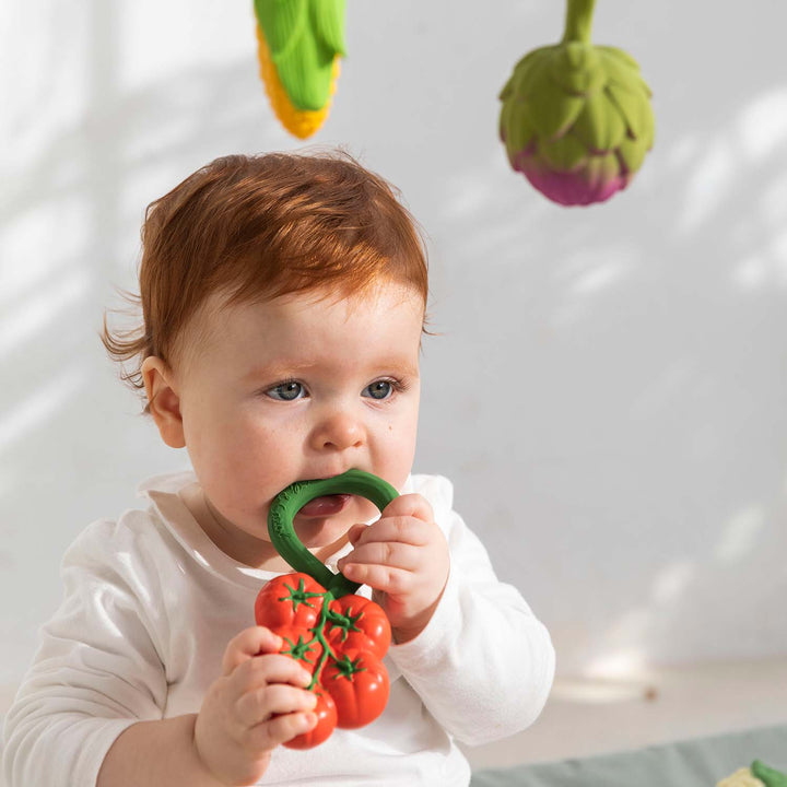 Renato The Tomato Teether