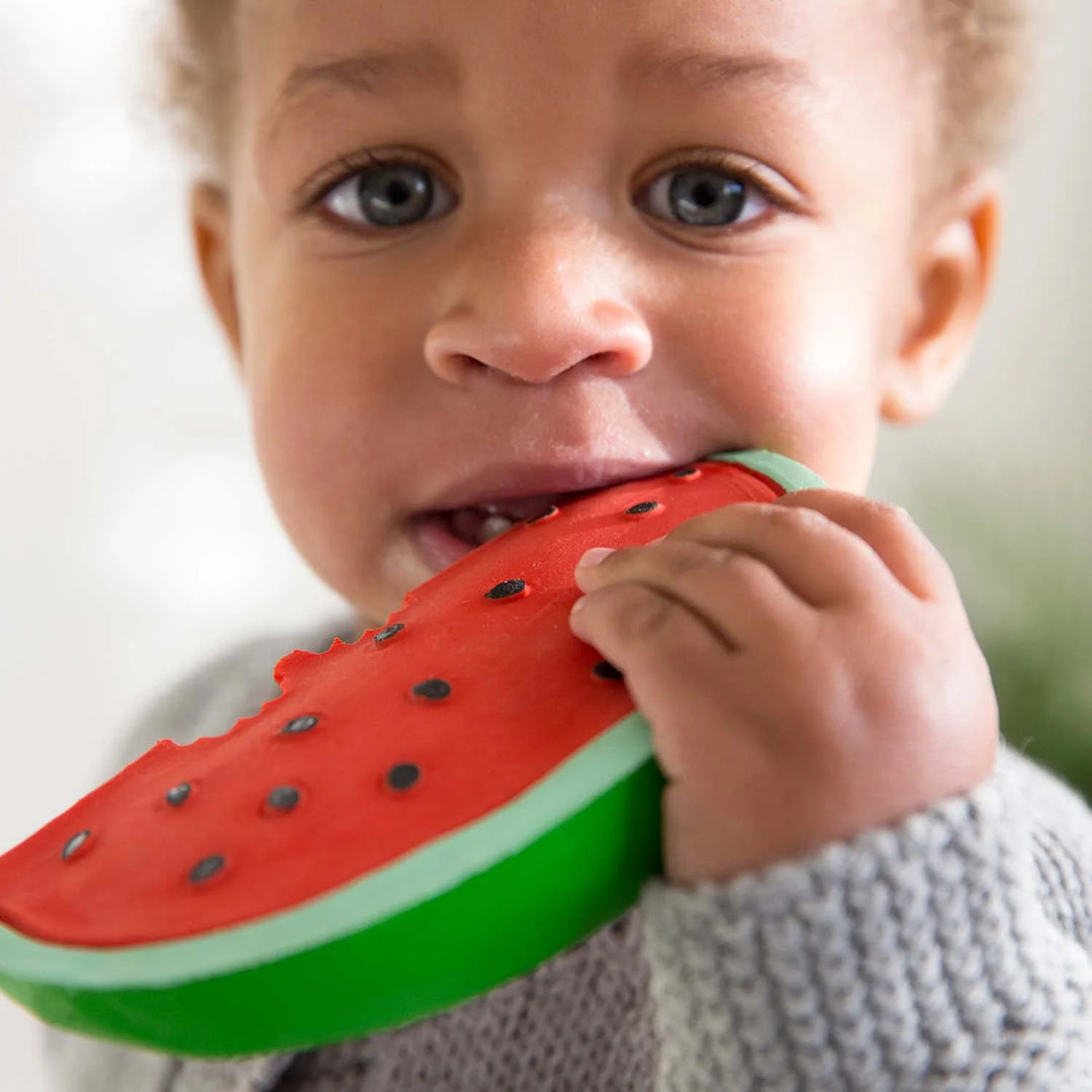 Wally the Watermelon Teether