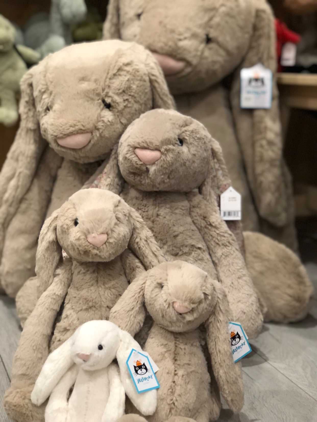 Bashful store bunny huge