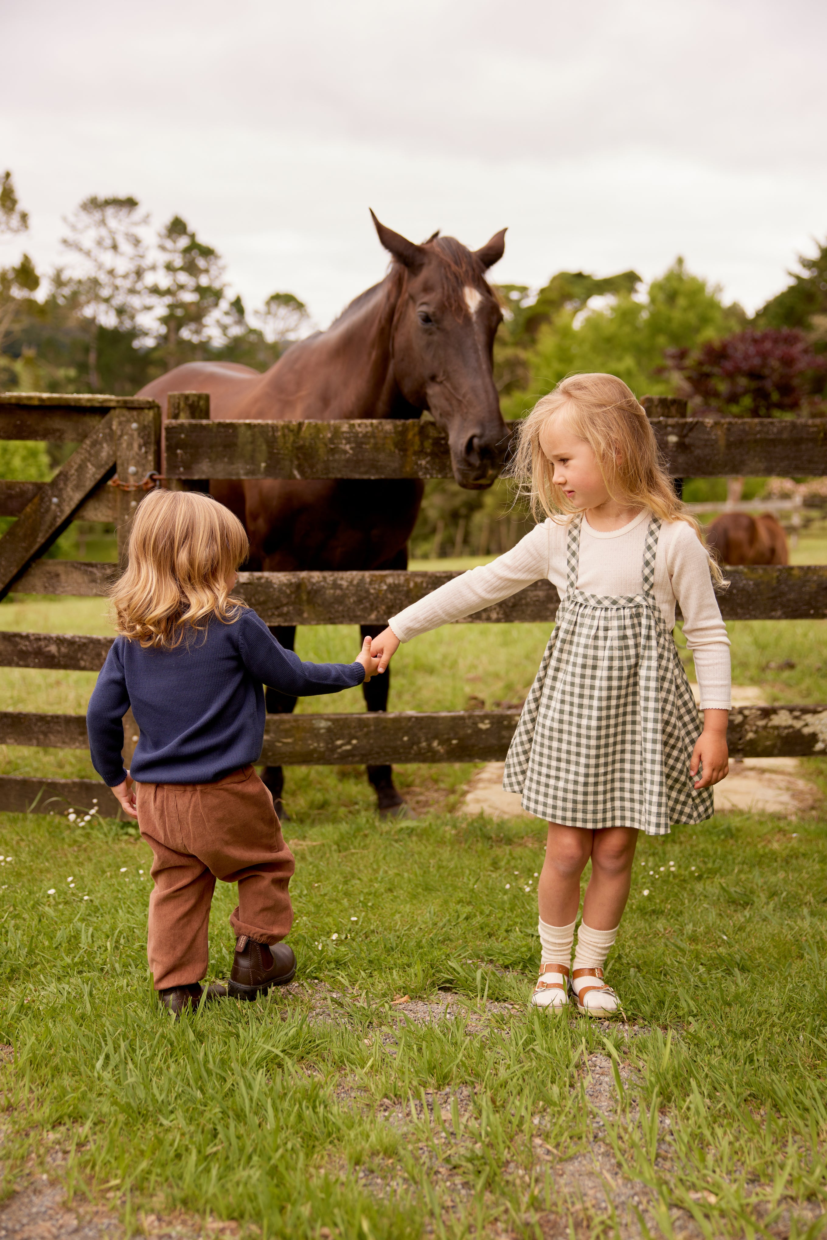 Baby hot sale horse jumper