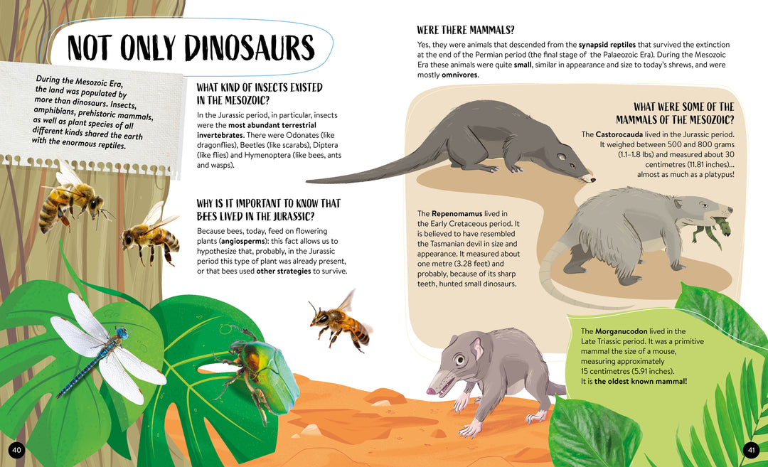 What How Why Dinosaurs Book and Poster